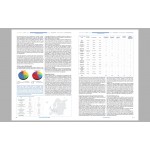 Facts & Trends Analysis 08 - Print edition