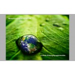 Facts & Trends Analysis 08 - Print edition